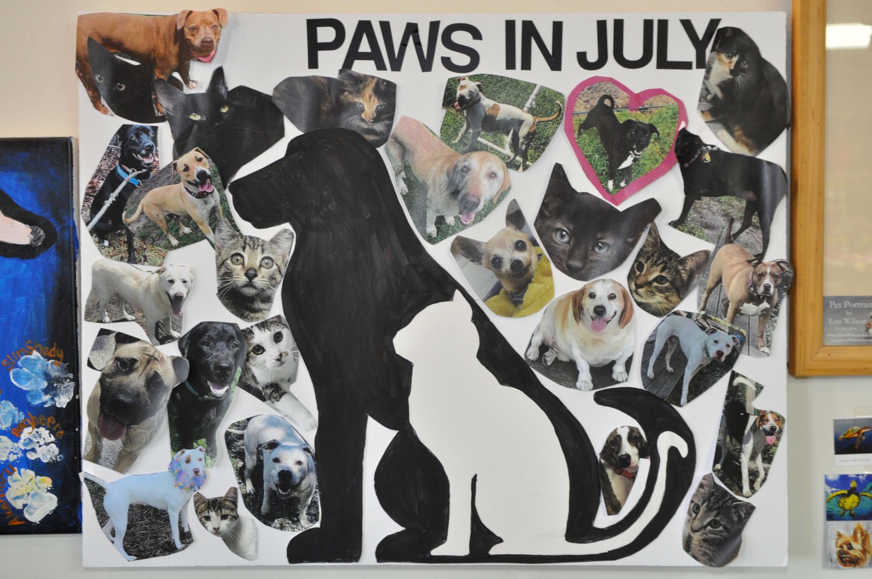 Supply drive underway for Carteret County animal shelter